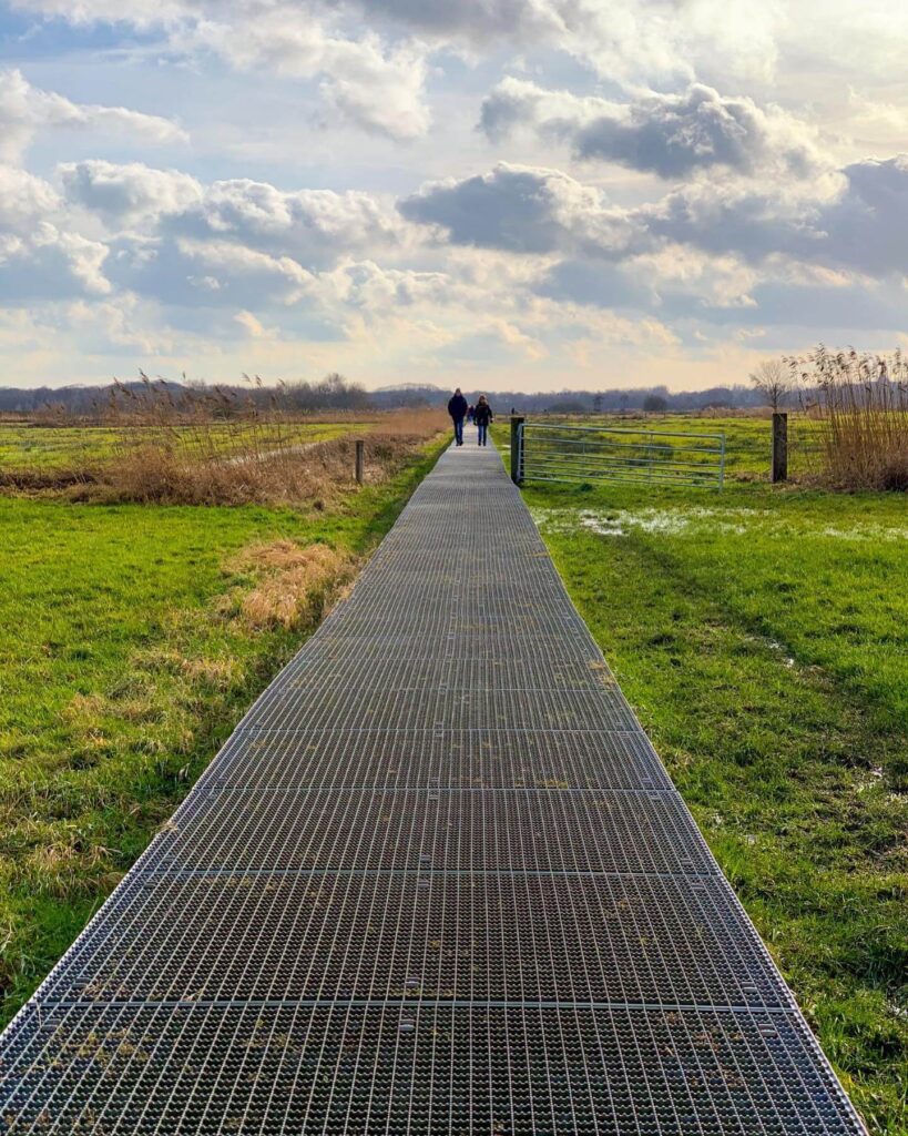 Wat te doen in Den Bosch? 12 dingen die je niet wilt missen 7 Wandelaars maken een wandeling in het Bossche Broek in Den Bosch middenin de natuur