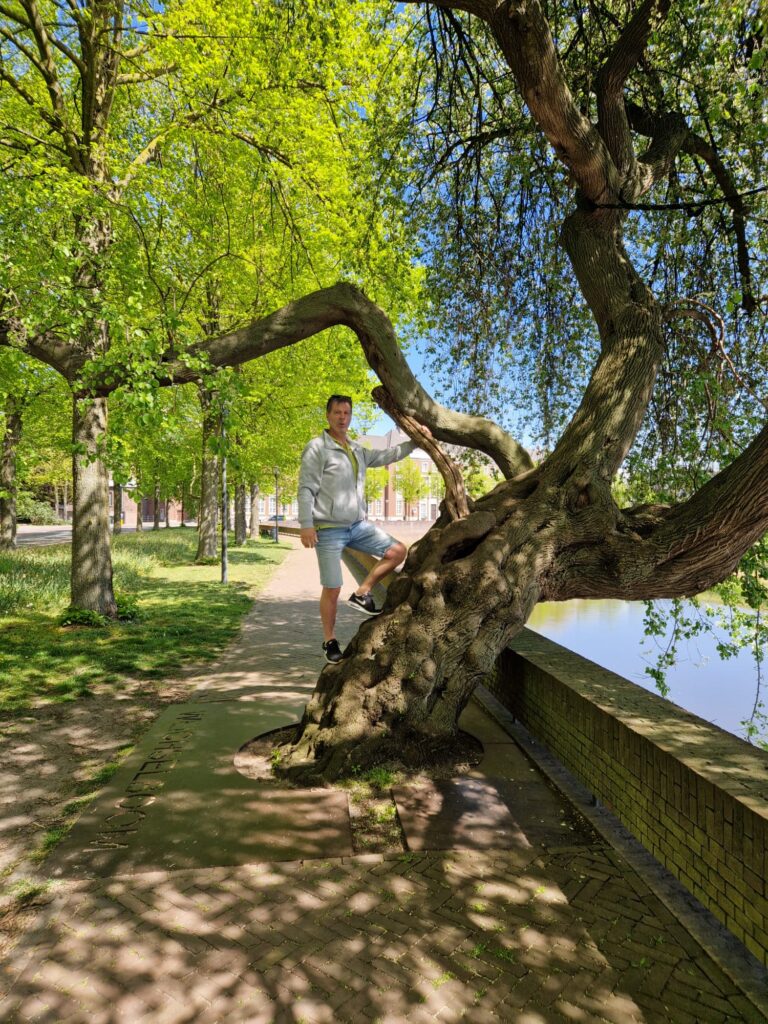 Wat te doen in Den Bosch? 12 dingen die je niet wilt missen 5 mamaleon zomer2