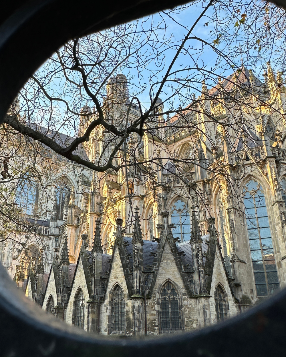 Wandelen door Den Bosch: de mooiste route langs bastions, hofjes en verborgen plekjes 2 De achterkant van de Sint-janskathedraal in de historische binnenstad van Den Bosch